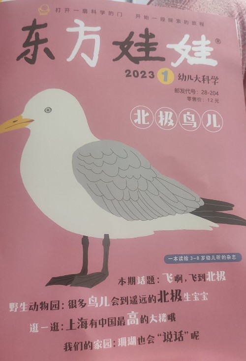 東方娃娃2023.1幼兒大科學