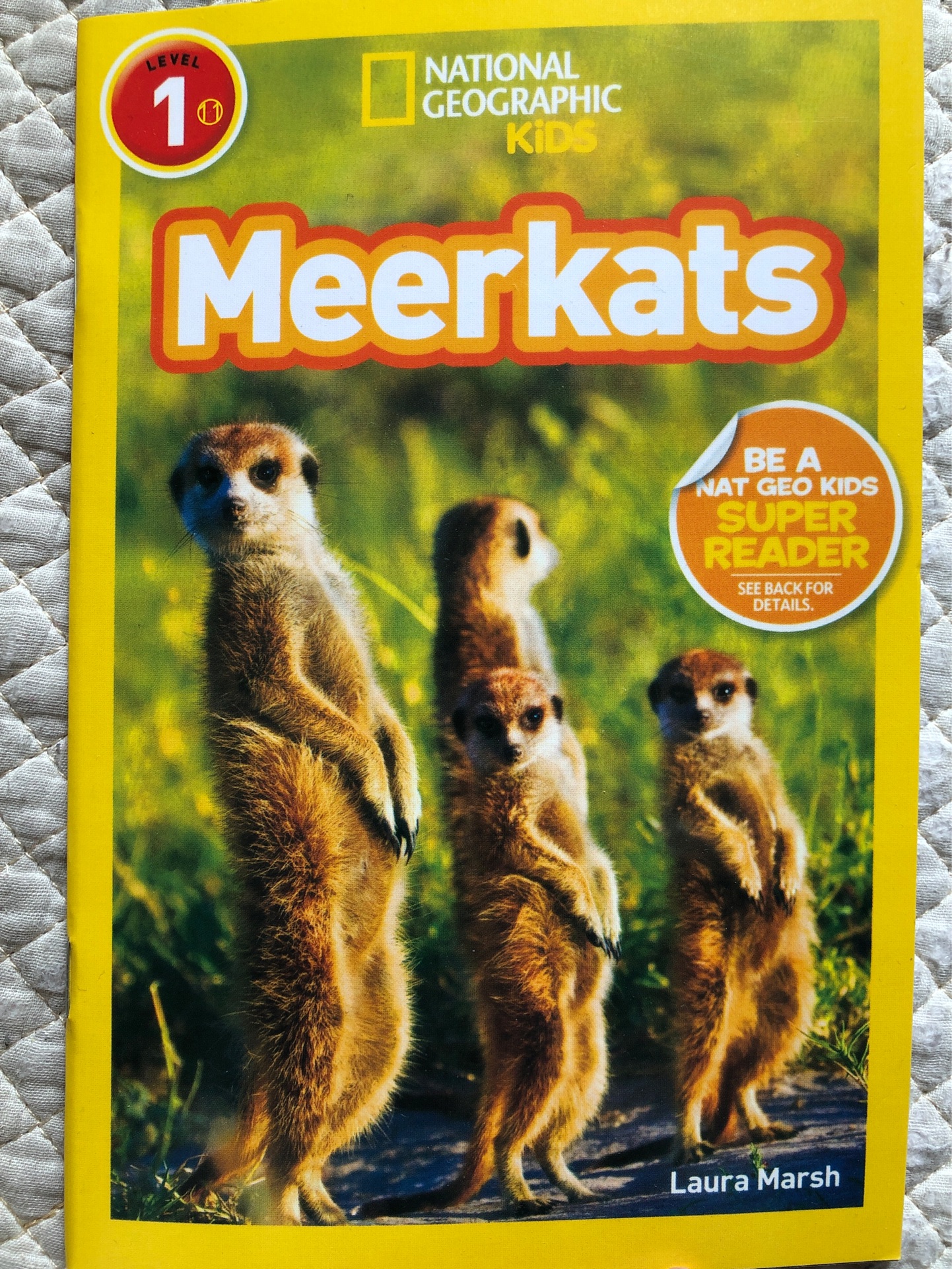 Meerkats