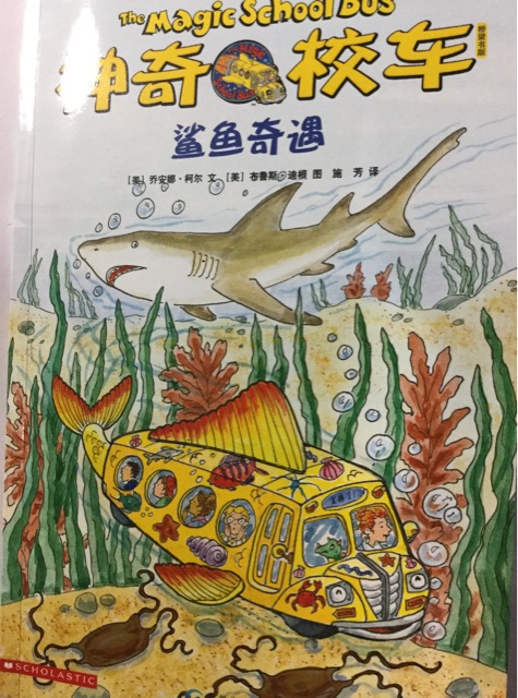 鯊魚奇遇