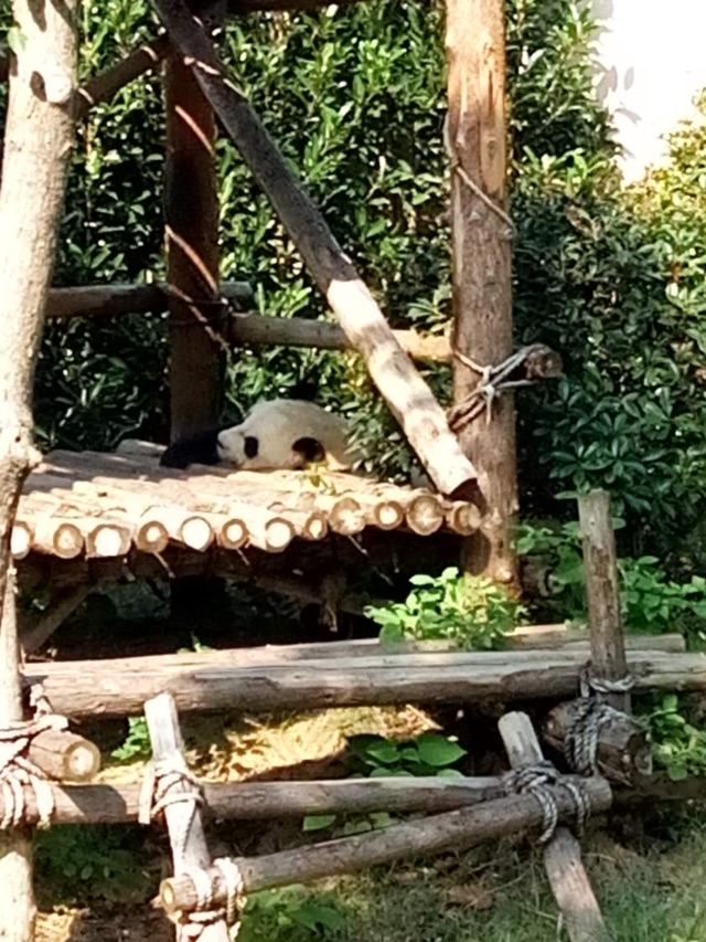 國慶家里蹲，天天