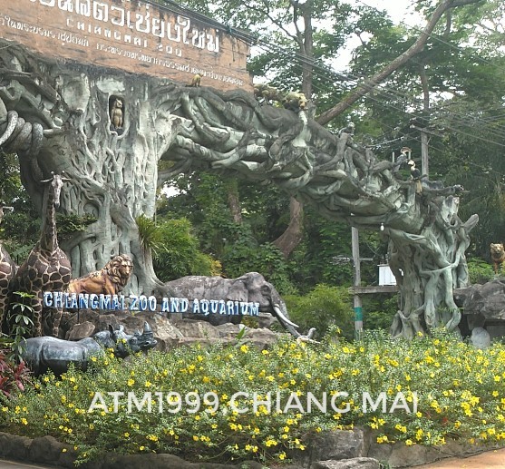 最喜歡的動(dòng)物園，