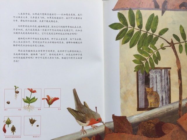 科學(xué)在春天里 （2