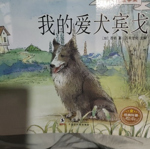 我的愛(ài)犬賓戈