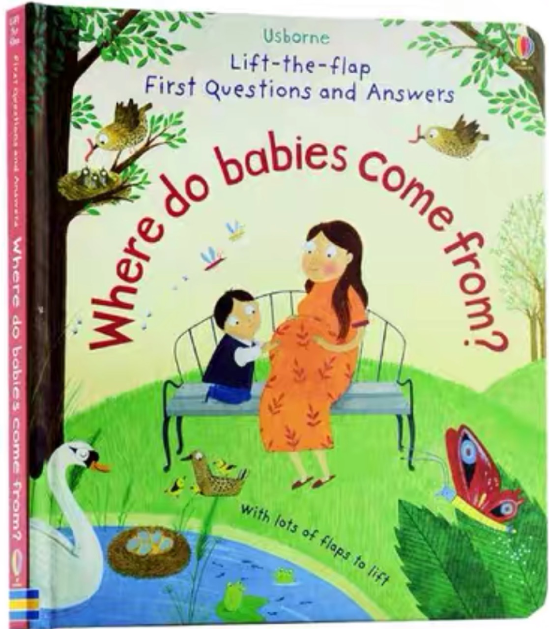 Where do babies come from?
(Lift-the-Flap First Questions and Answers)(Usborne)