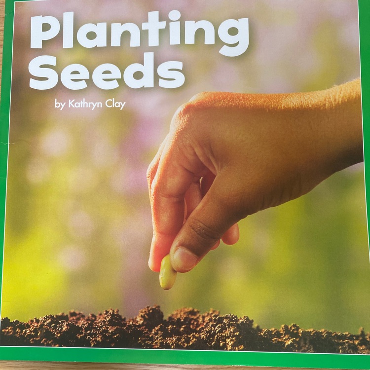 Planting Seeds