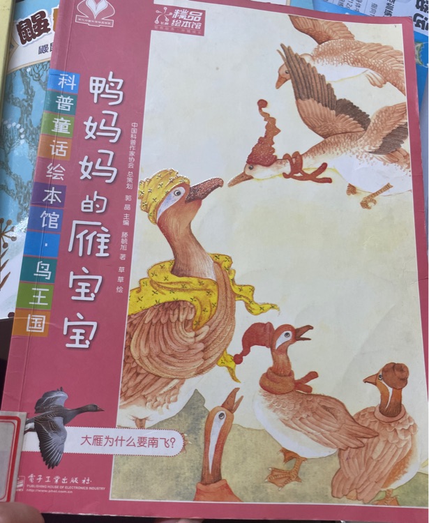疾步如飛的大鳥