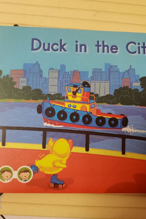 duck in the city