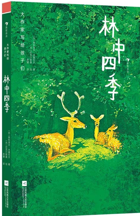 林中四季