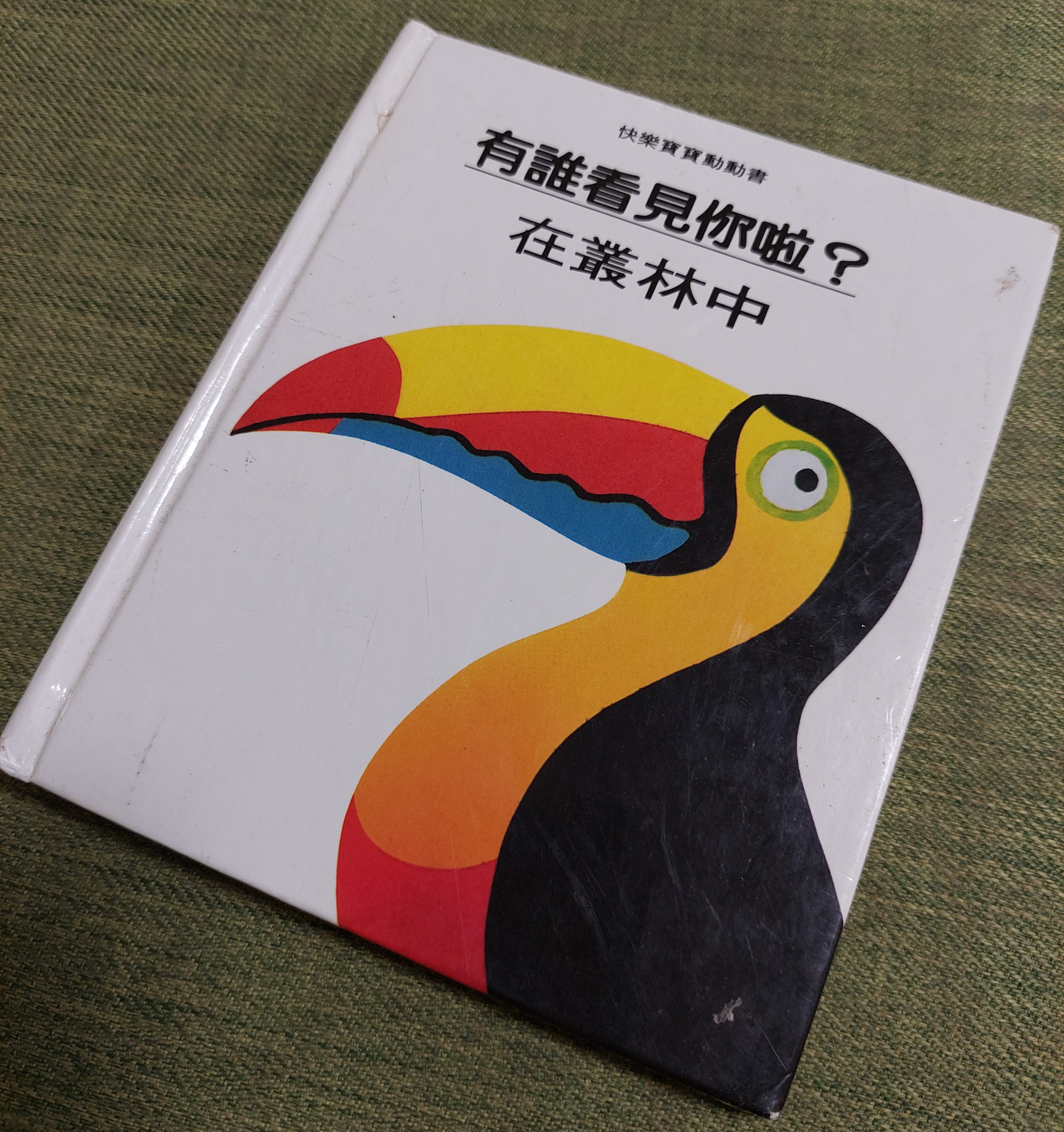 有誰看見你啦? 在叢林中