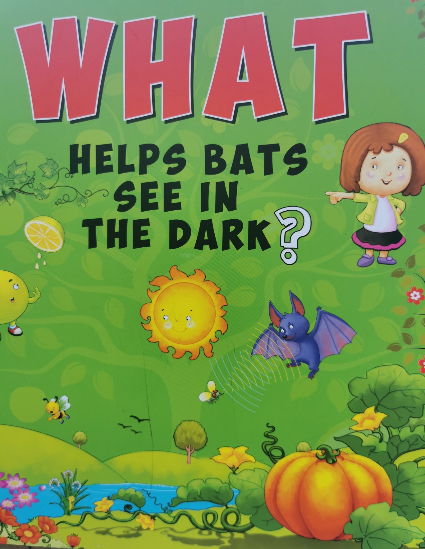 What helps bats see in the dark