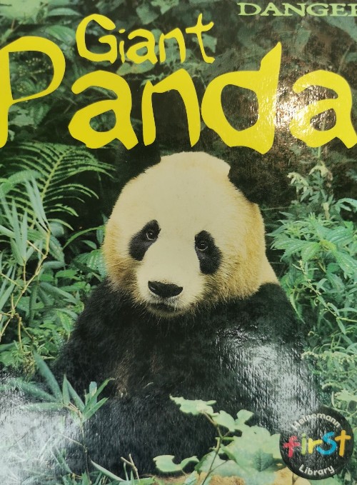 Giant Panda