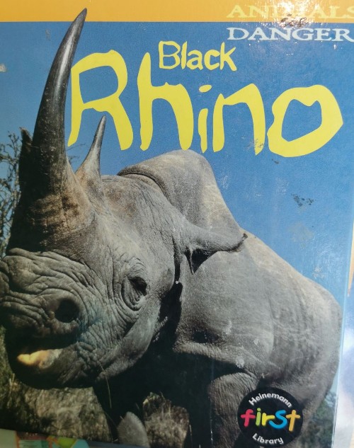 Black Rhino