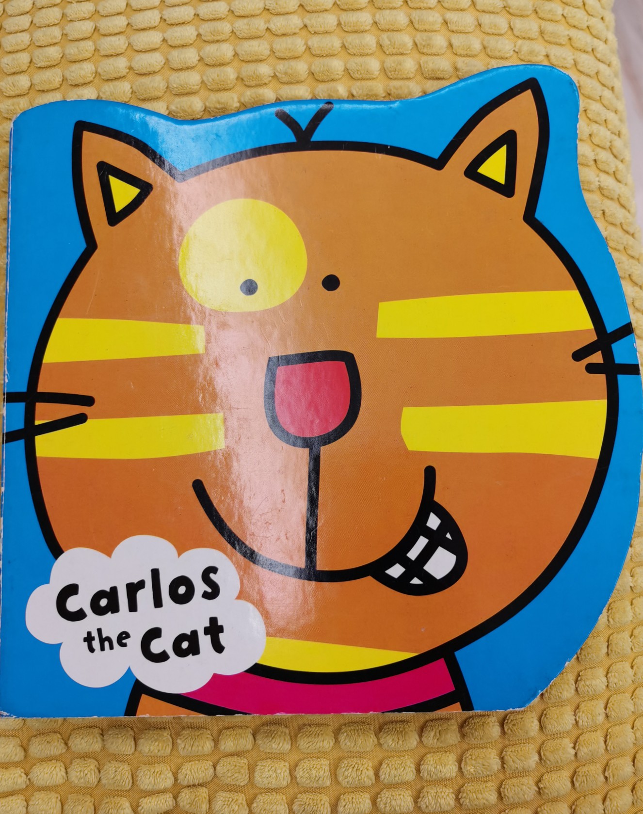 Carlos the Cat