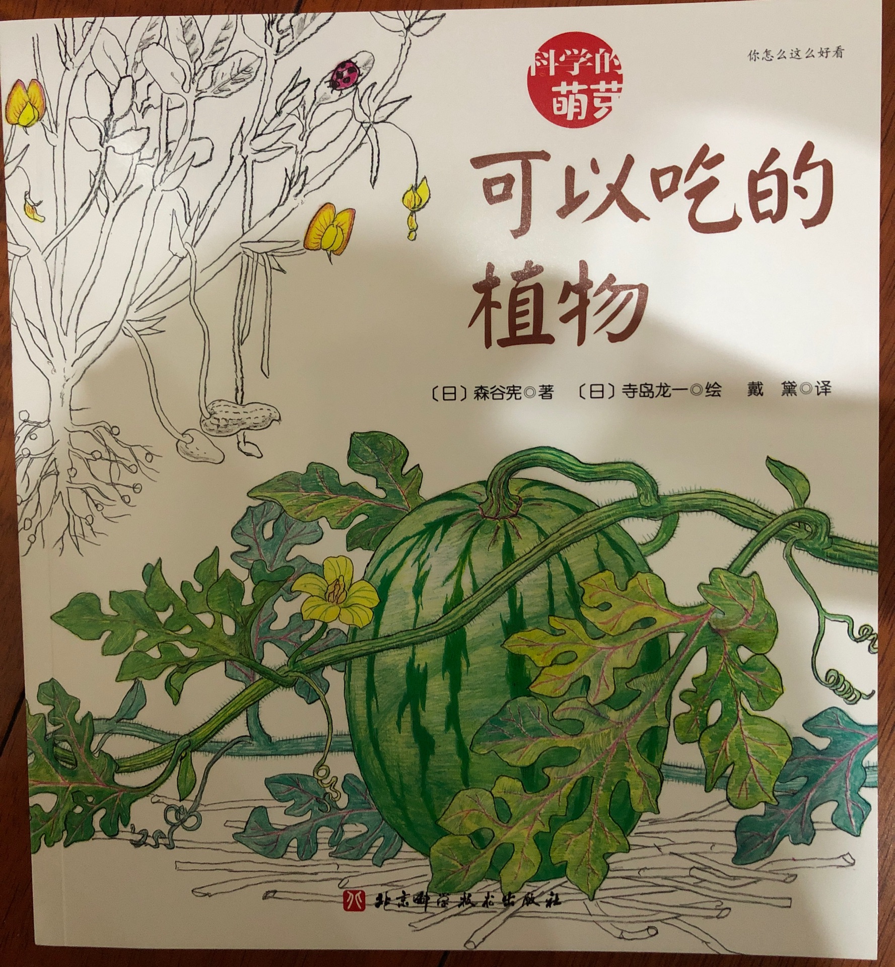 科學(xué)的萌芽：可以吃的植物