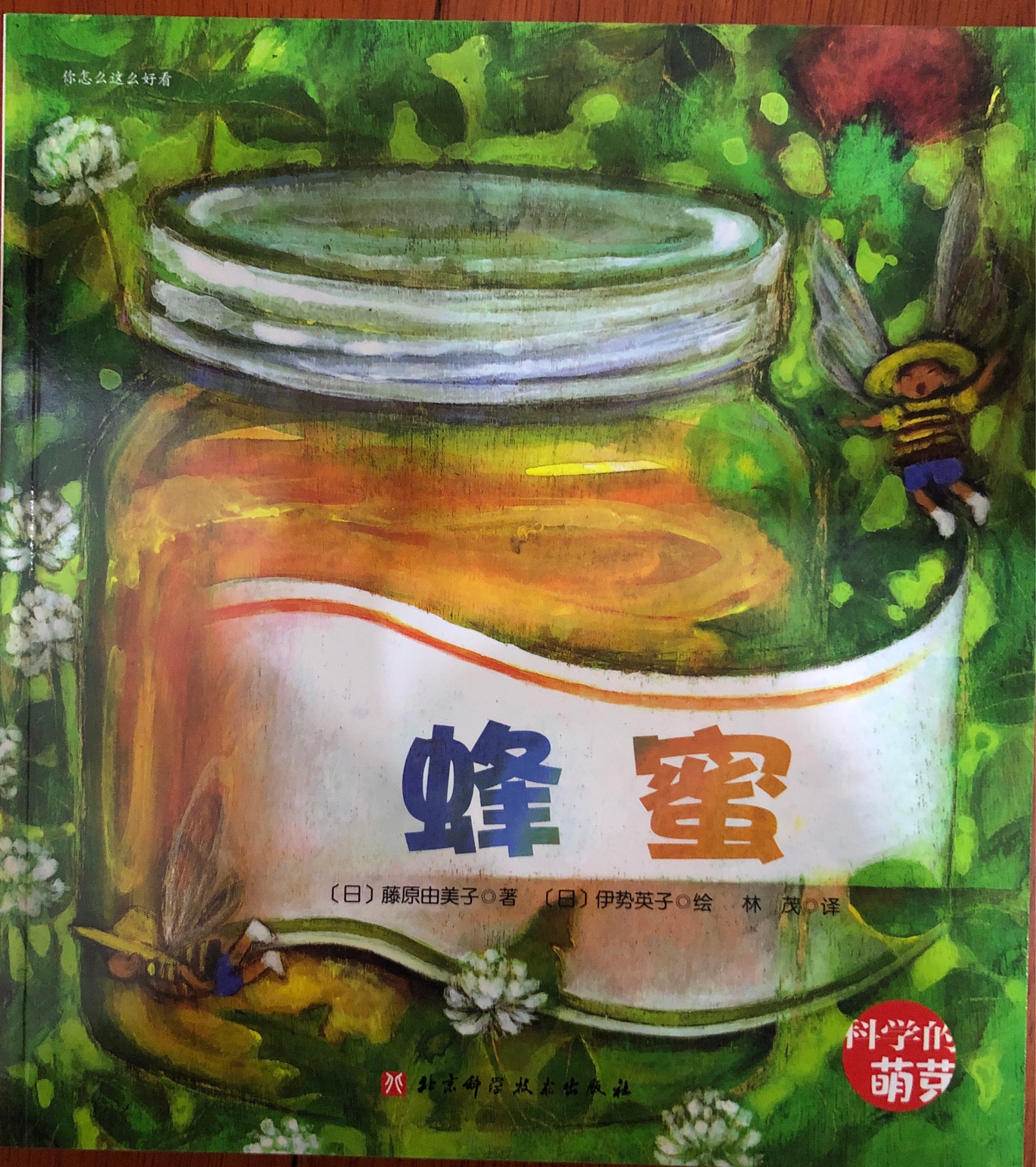 科學(xué)的萌芽：蜂蜜