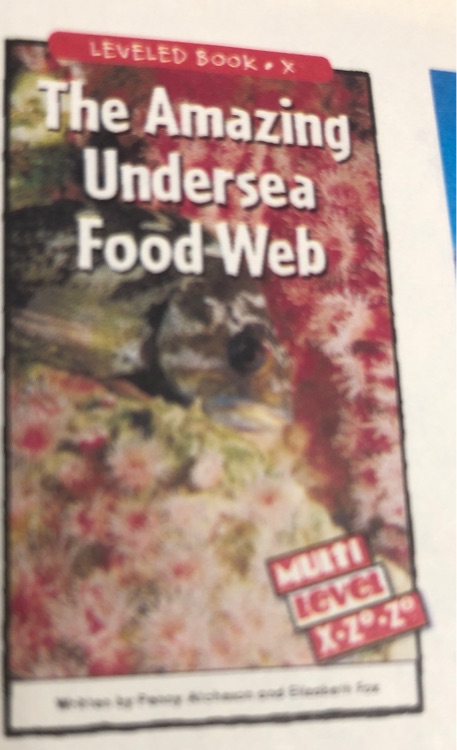 The amazing undersea Food web