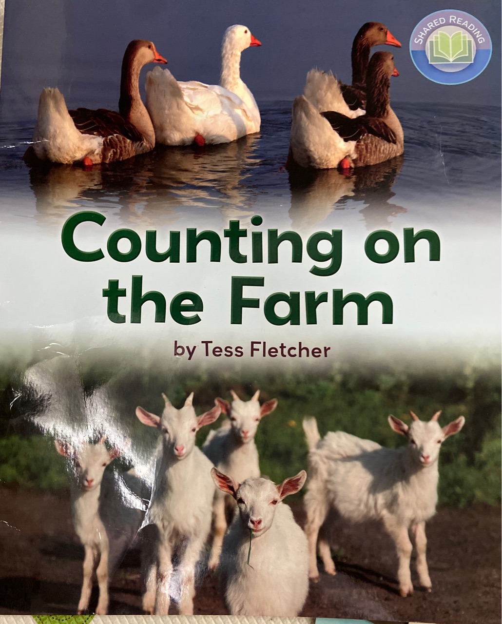 Counting on the Farm