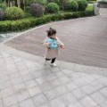 清言淺笑