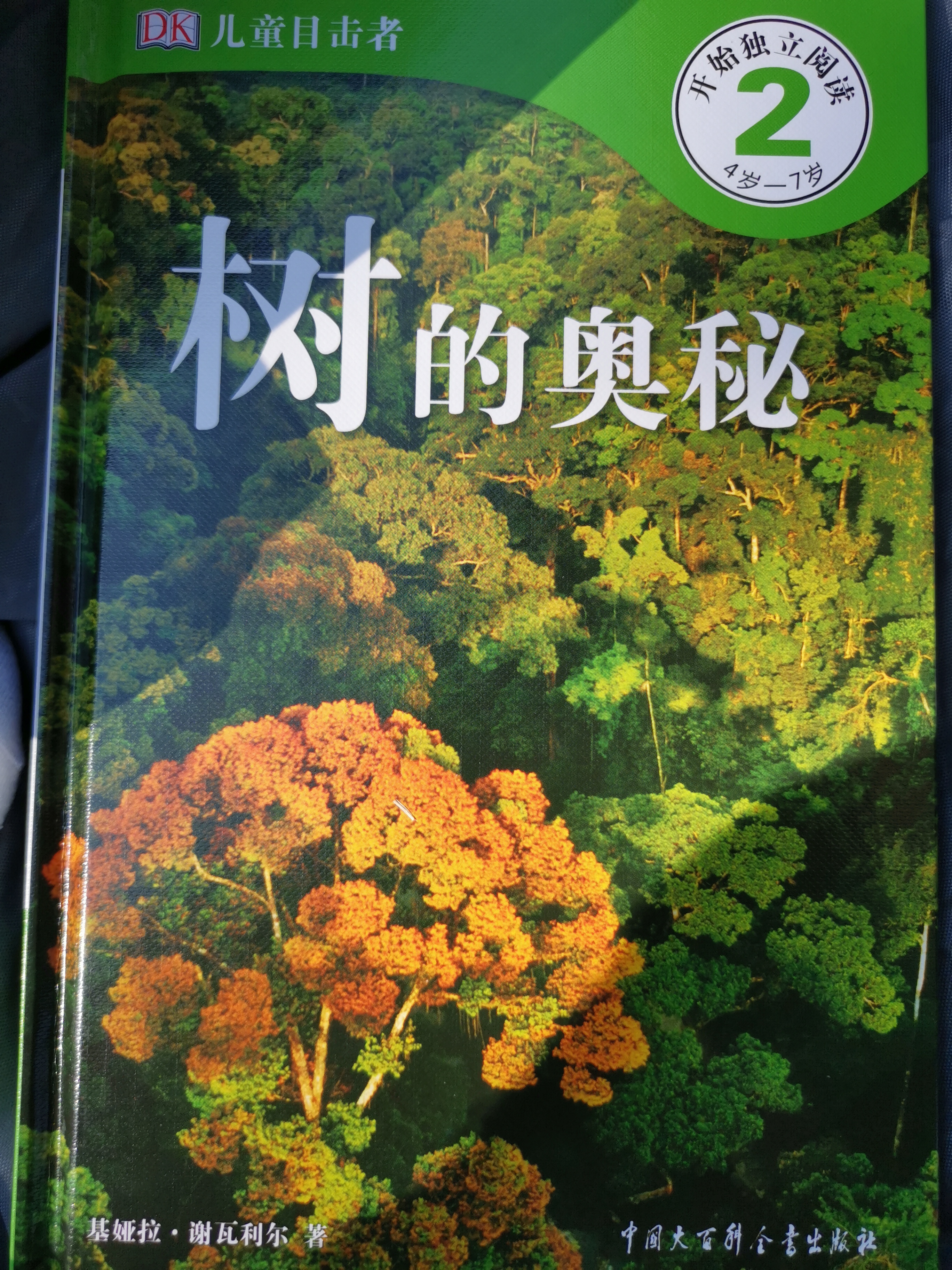 樹的奧秘