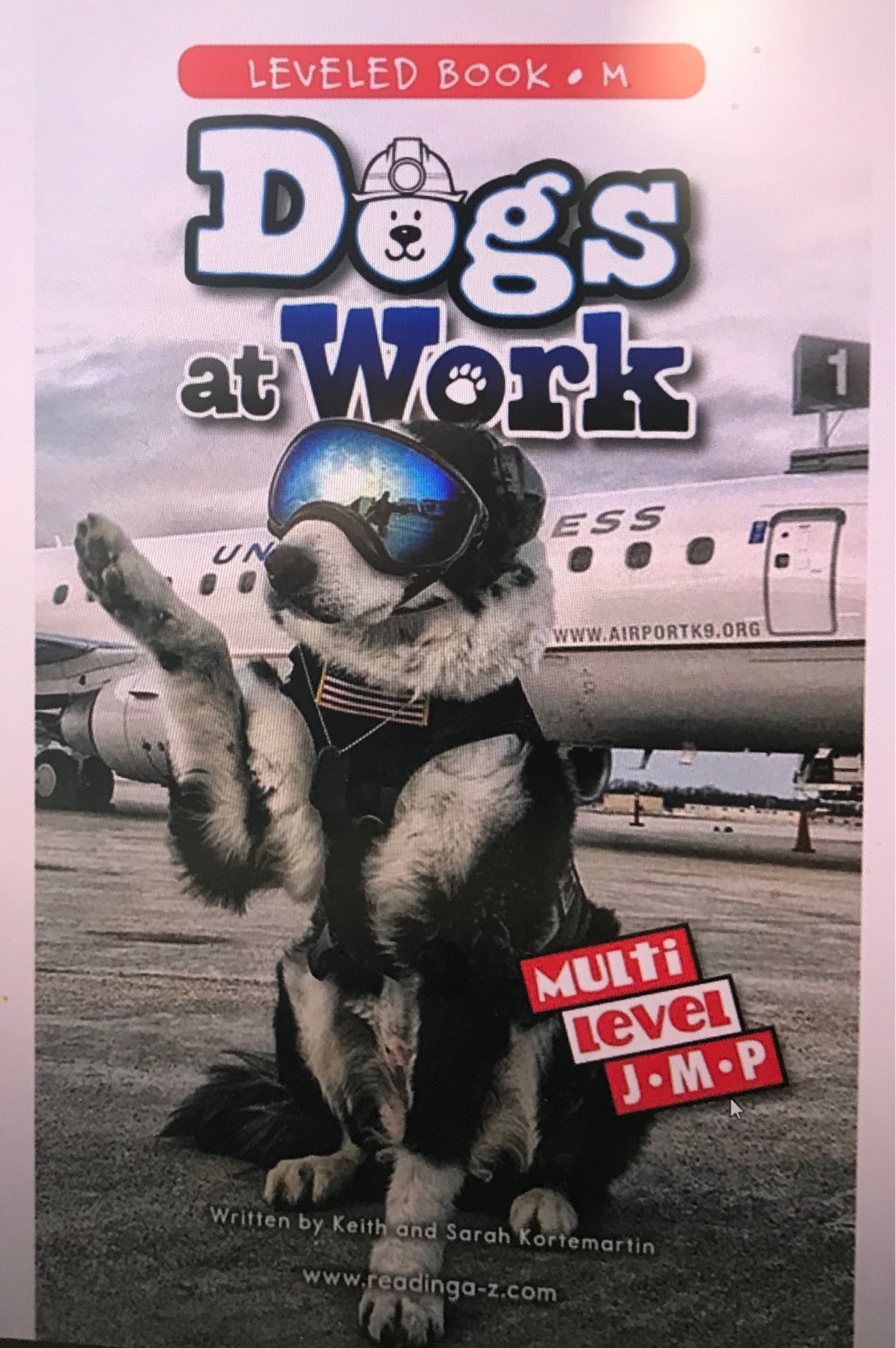Dogs at Work