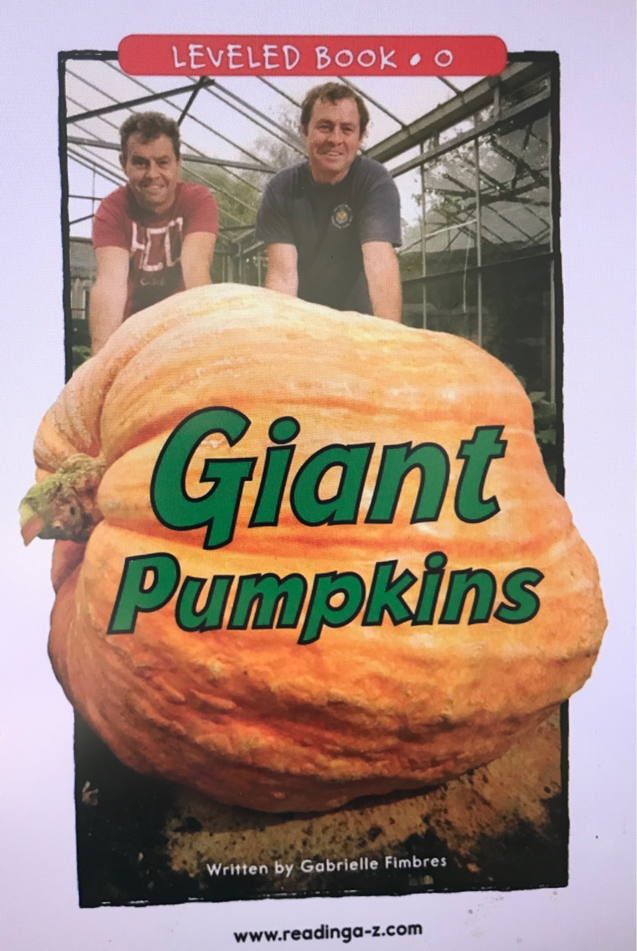 Glant Pumpkins