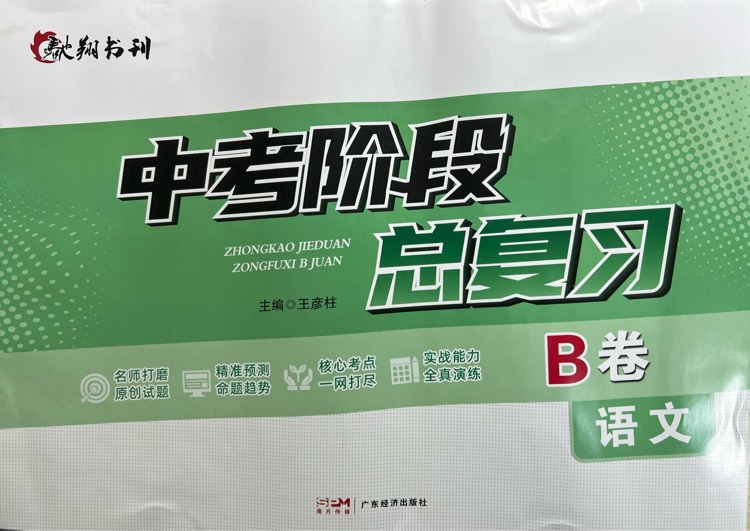 中考階段總復(fù)習(xí)(語(yǔ)文B卷)