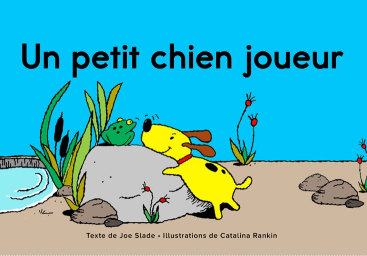 Un petit chien joueur (Raz B)