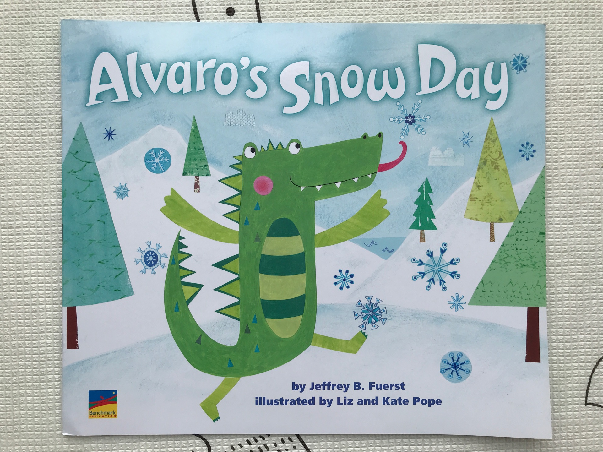 alvaro's snow day