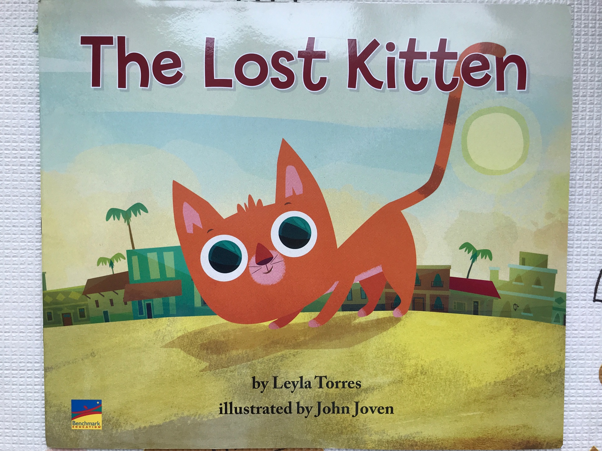 the lost kitten