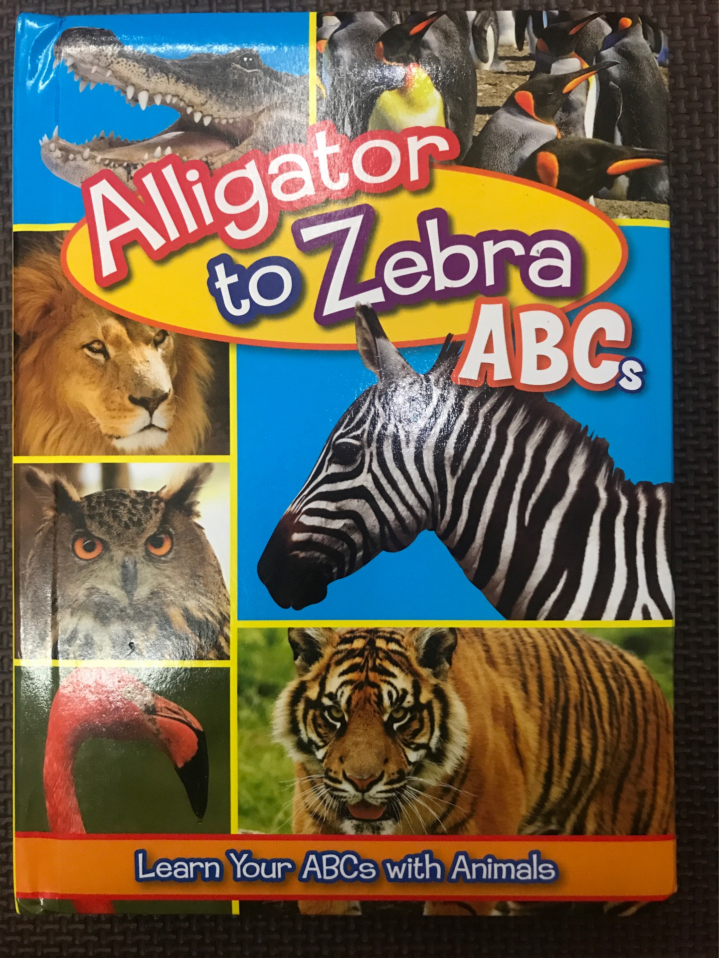 alligator to zebra ABCs