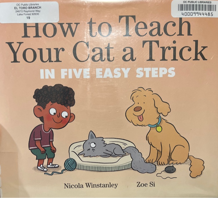 How to Teach Your Cat a Trick