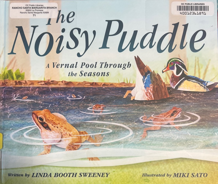 The Noisy Puddle