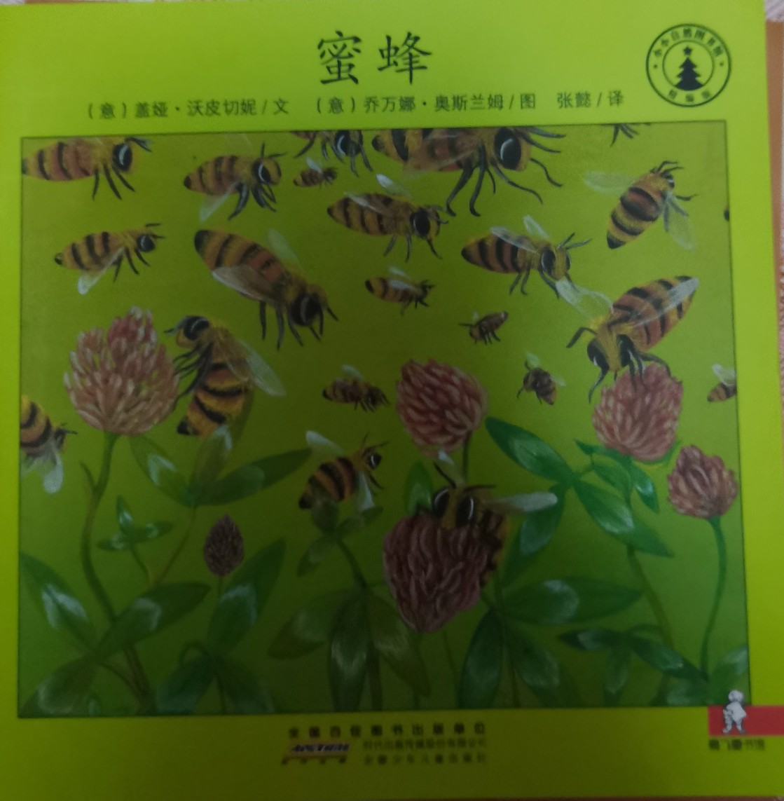 蜜蜂