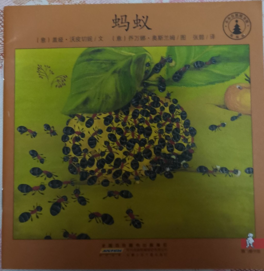 螞蟻