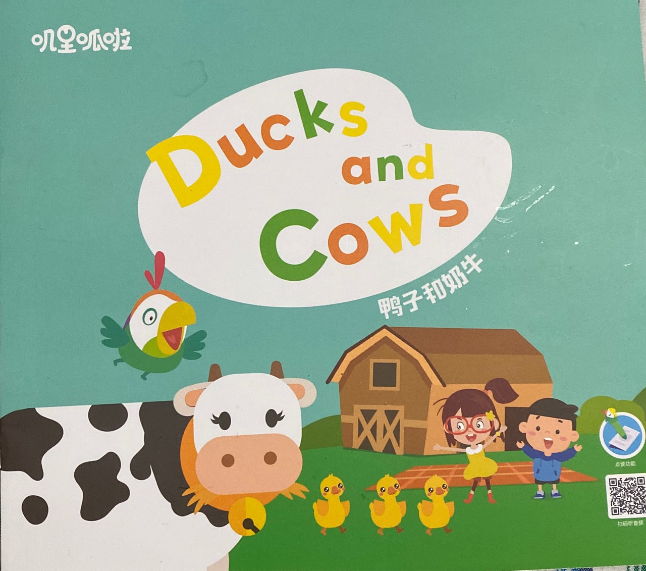 Ducks and cows 鴨子和奶牛