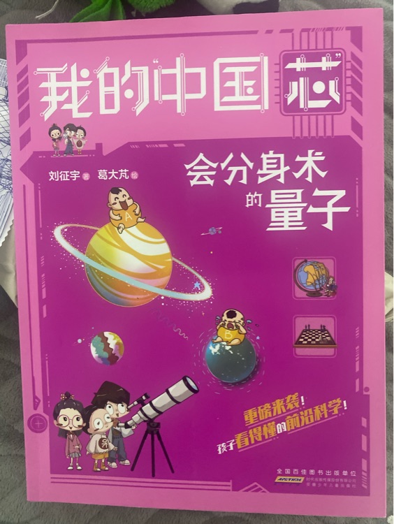 我的中國芯