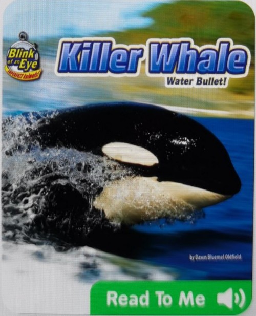 Killer Whale