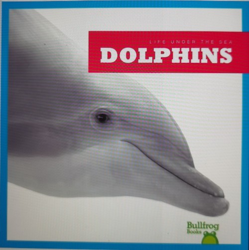 DOLPHINS