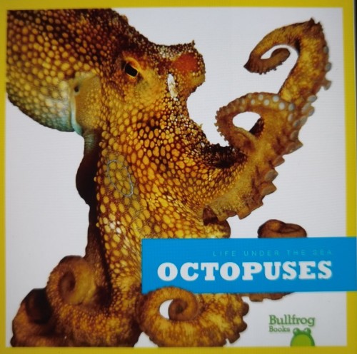 OCTOPUSES