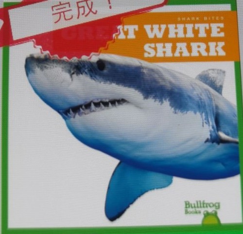 Great White Shark