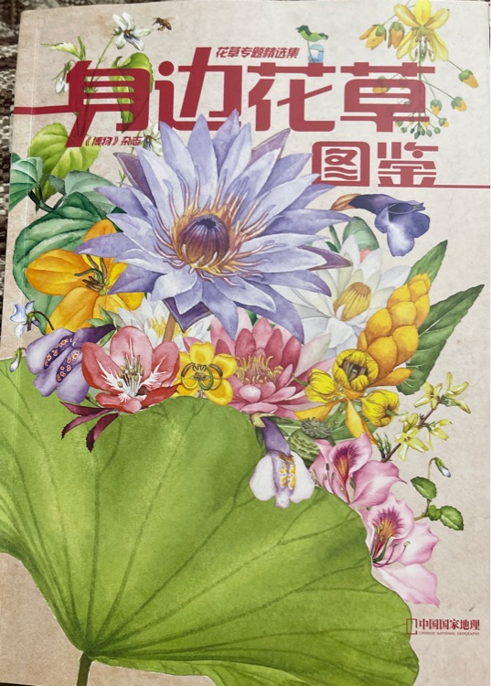 身邊花草圖鑒