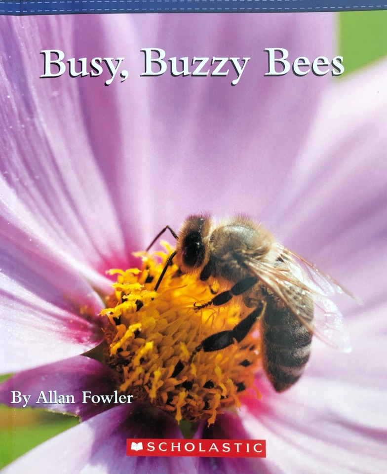 Busy, buzzy bees