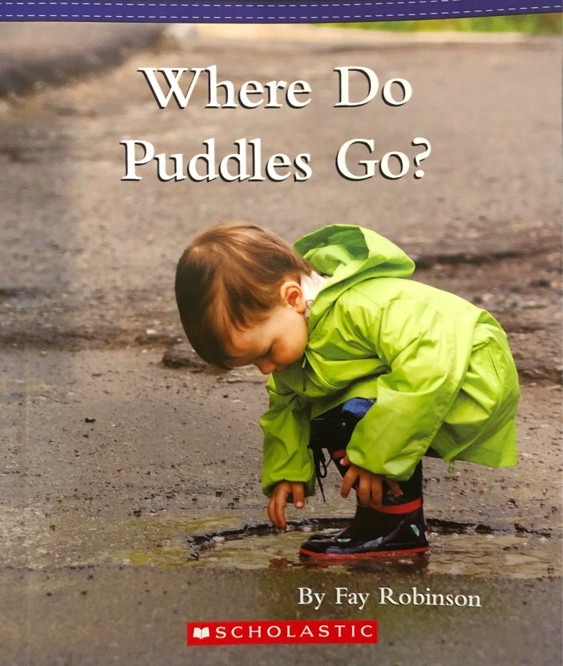 Where do puddles go?