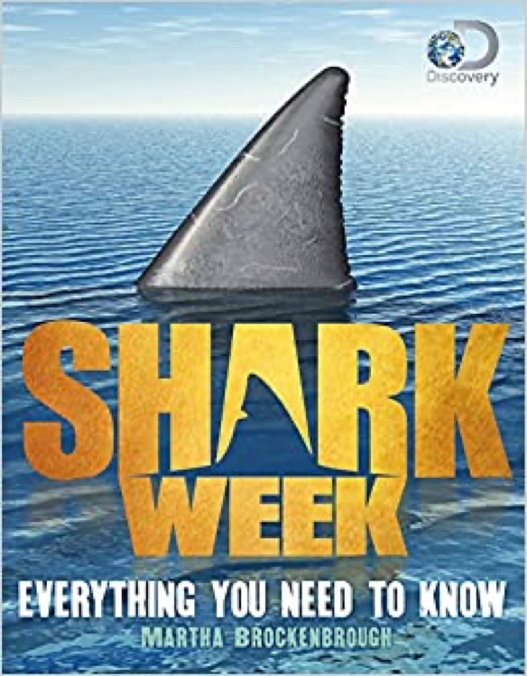 Shark week: Everything you need to know