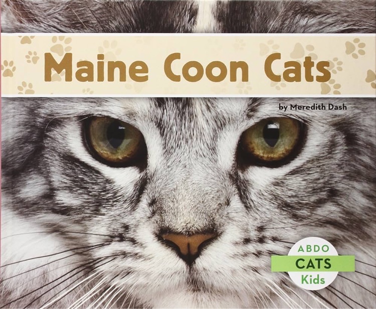 Maine Coon Cats