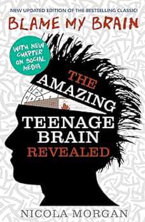 Blame My Brain Amazing Teenage Brain