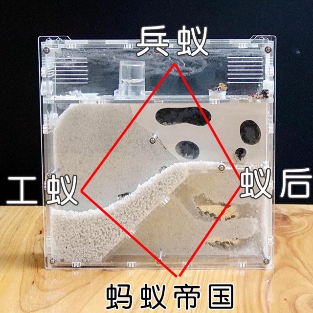 2019年兩個孩子的