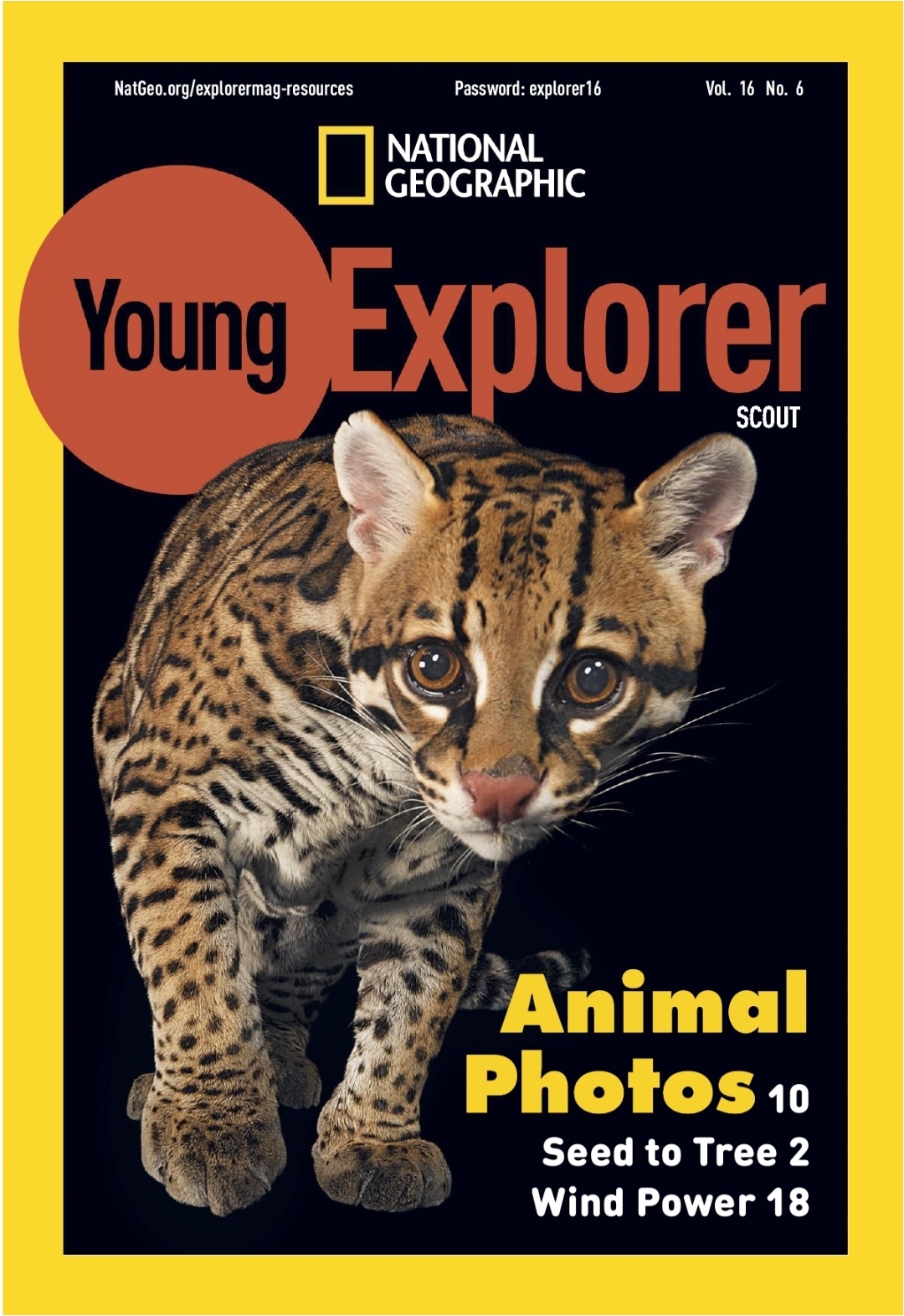 national geographic young explorer scout vol.16 no.6