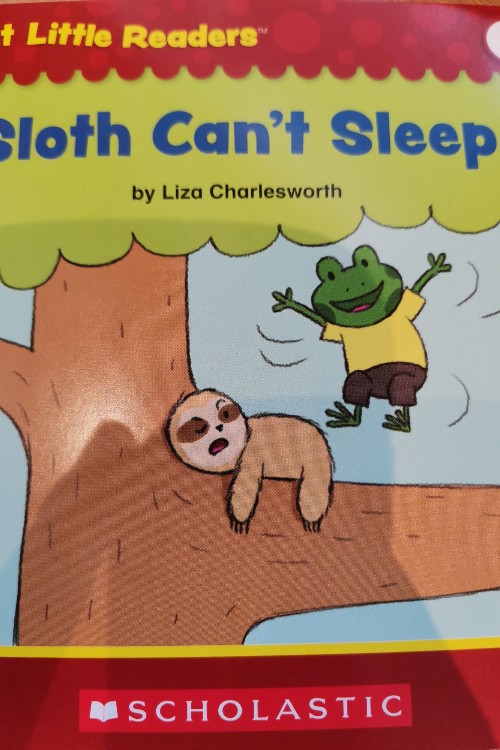 Sloth can't sleep