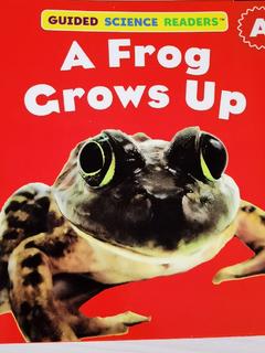 a frog crows up